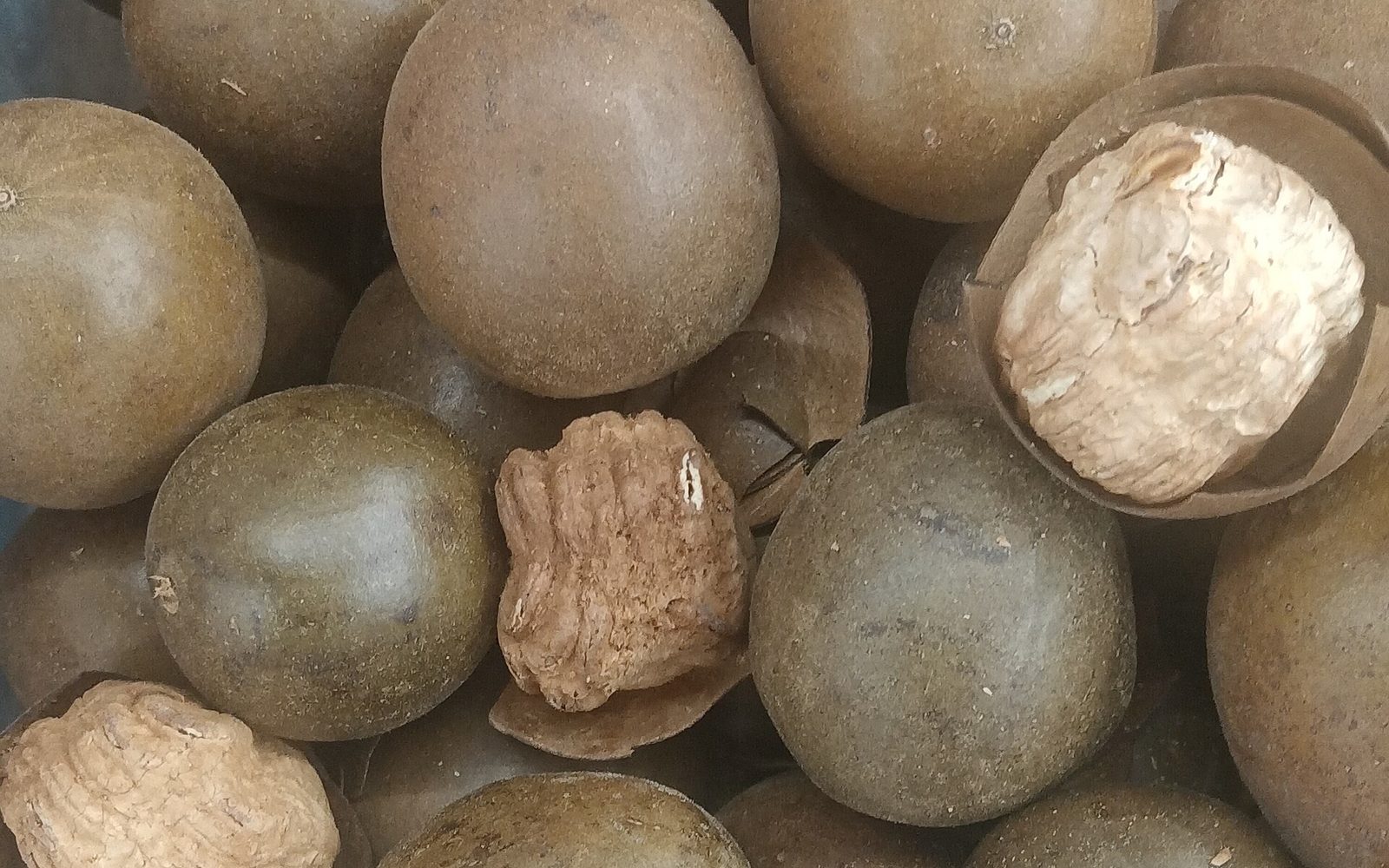 Monk fruit, a small round melon