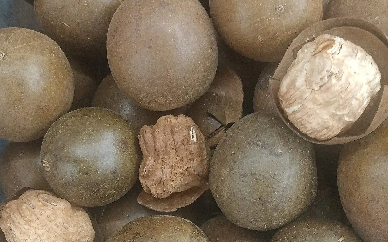 Monk fruit, a small round melon